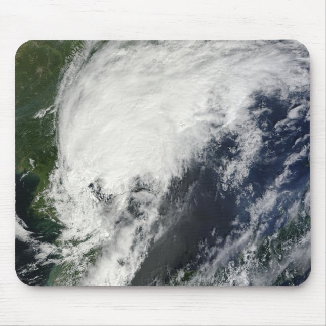 Tropical Storm Kompasu Musmatta (Framsidan)