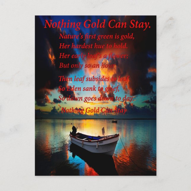 Tropical Storm Vykort (Framsida)