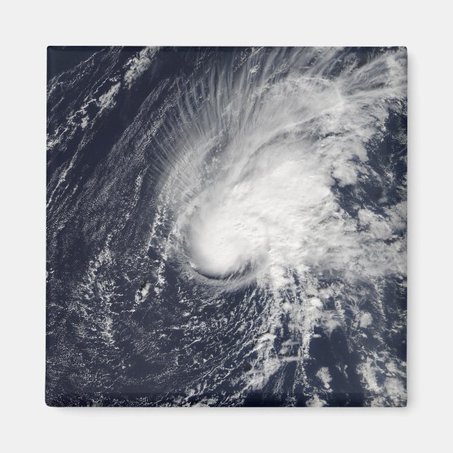 Tropical Storm Zeta Magnet (Framsidan)