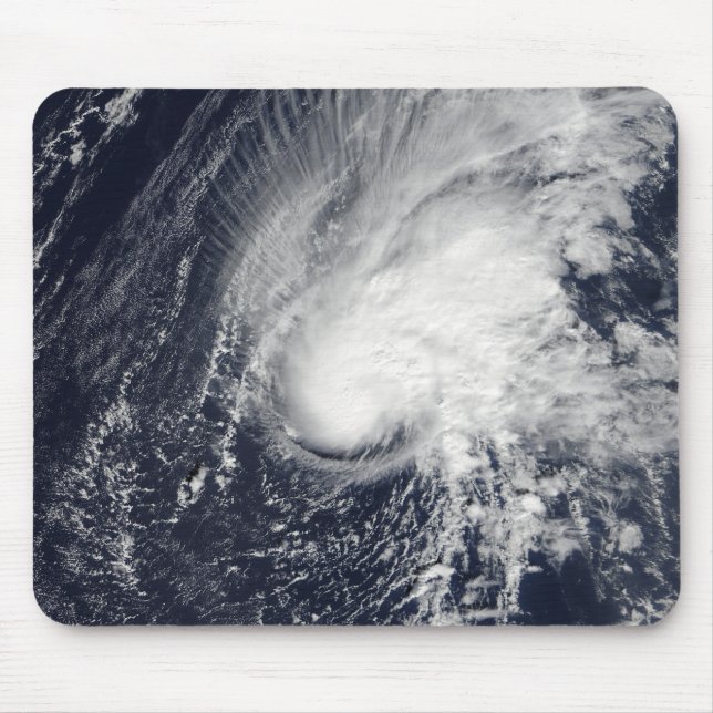 Tropical Storm Zeta Musmatta (Framsidan)