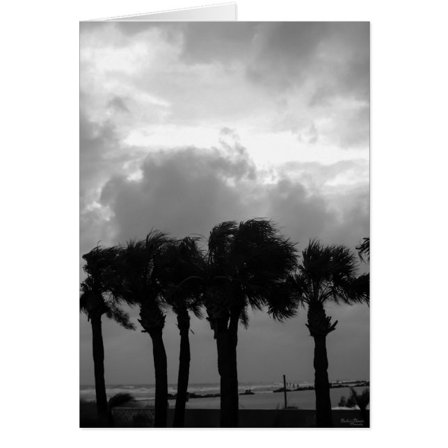 Tropical Stormy Himlar Grayscale OBS Kort (Framsidan)