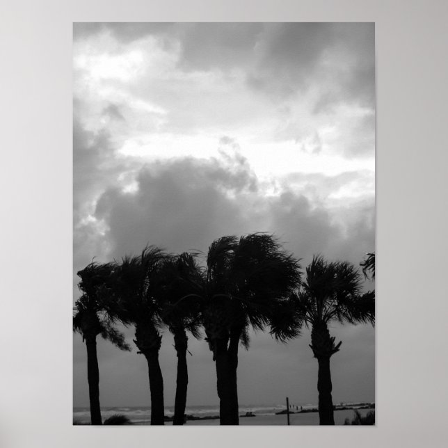Tropical Stormy Himlar Grayscale Poster (Framsidan)
