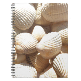 Tropical Sunny Exotic Snäckors Anteckningsbok