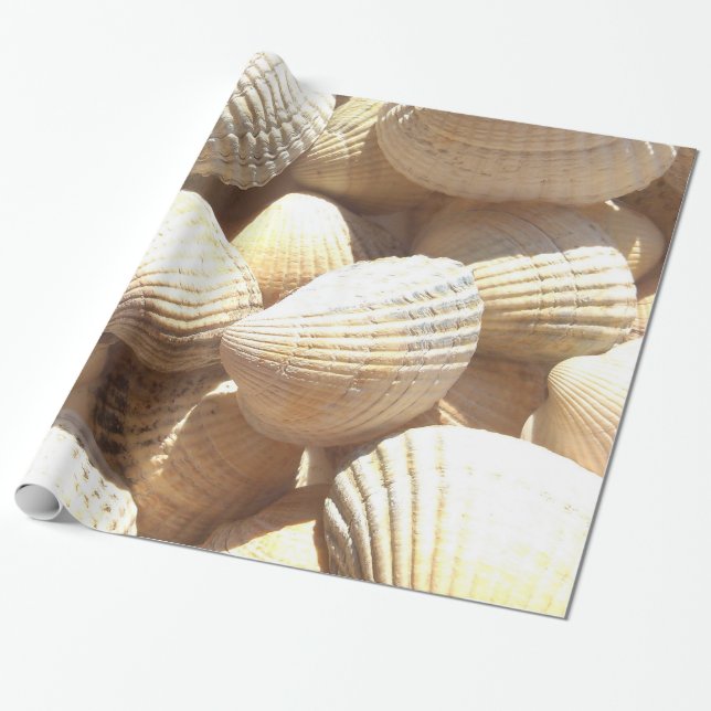 Tropical Sunny Exotic Snäckors Presentpapper (Utrullad)