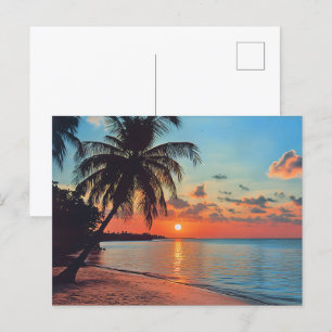 Tropical Sunset Beach Scene Vykort