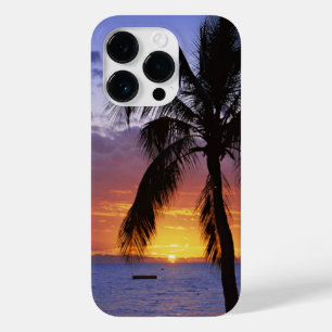 Tropical Sunset med Handflatan Träd,