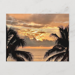 Tropical Sunset Puerto Vallarta Vykort