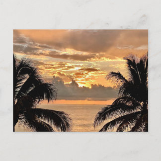 Tropical Sunset Puerto Vallarta Vykort