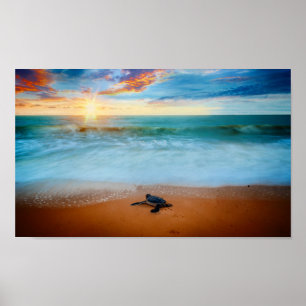 Tropical Sunset Sea Turtle Sandy Beach Poster