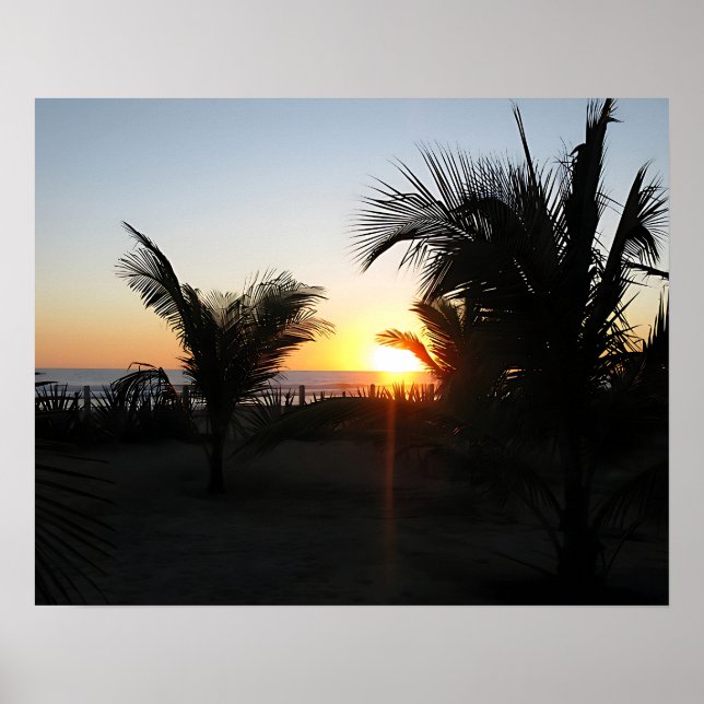 Tropical Sunset Silhouette Poster (Framsidan)