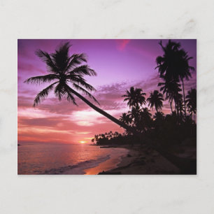 Tropical Sunset Vykort