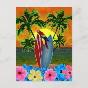 Tropical Sunset Vykort
