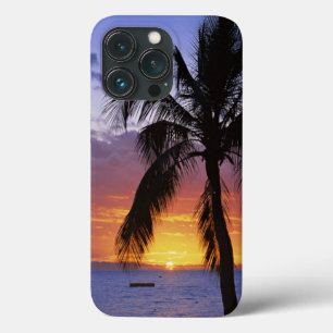 Tropical Sunset with Handflatan Träd Fodral-Mate i