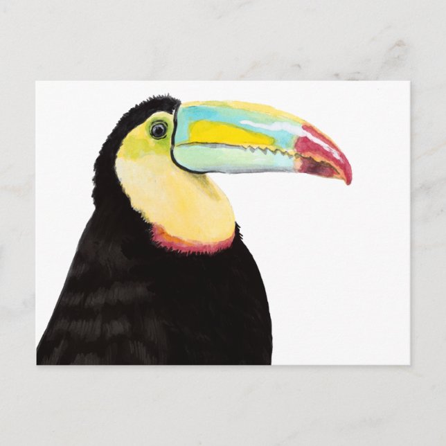 Tropical Toucan Bird Vykort (Framsida)