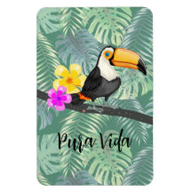 Tropical Toucan Pura Vida Design