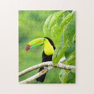 Tropical Toucan Puzzle Pussel