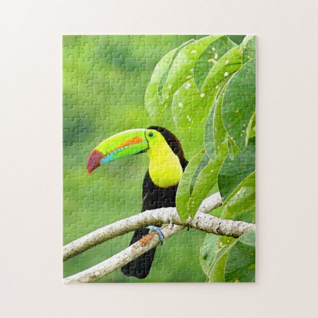 Tropical Toucan Puzzle Pussel (Vertikal)