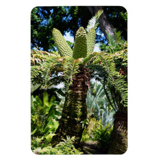 Tropical Träd Photo Magnet