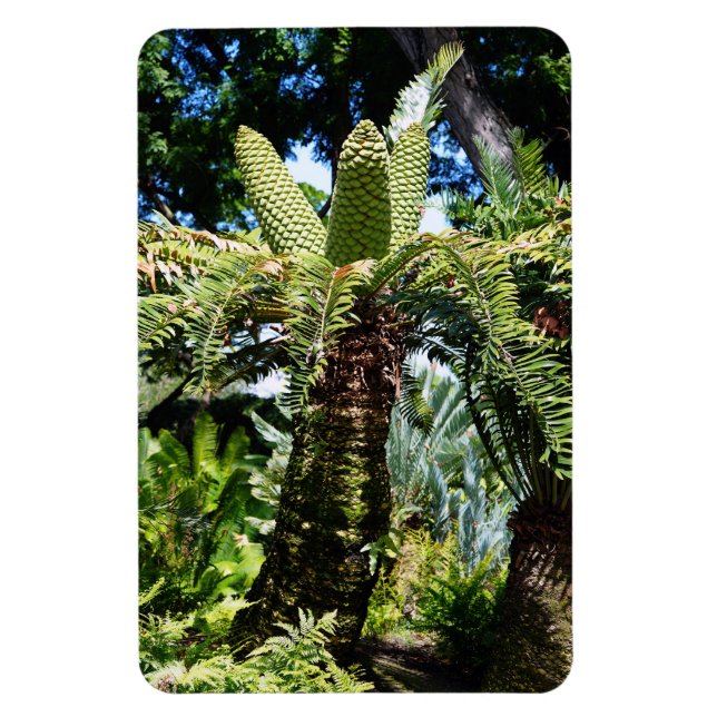 Tropical Träd Photo Magnet (Vertikal)