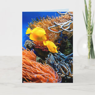 Tropical Undersea Coral Kort