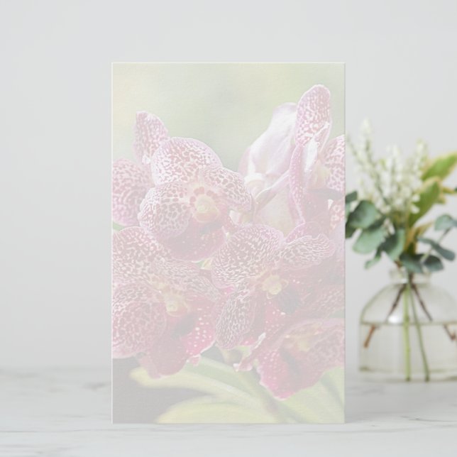 Tropical Vanda Orchid Cluster Brevpapper (Stående Fram)