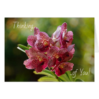 Tropical Vanda Orchid Cluster Card Hälsningskort