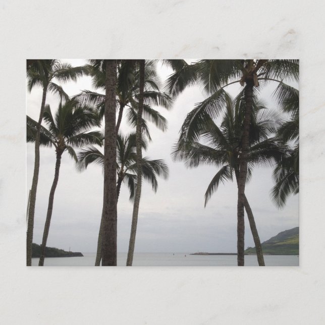 Tropical View i Kauai Vykort (Framsida)