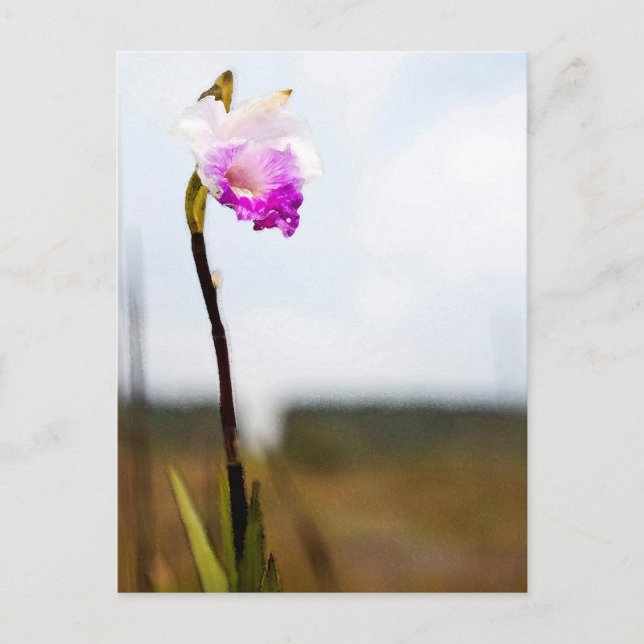 Tropical Vild Orchid Print Hawaii Vykort (Framsida)