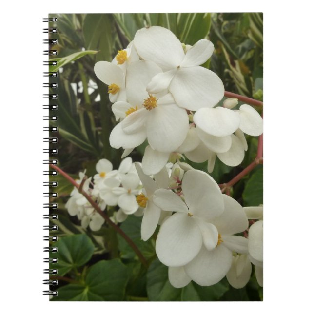 Tropical White Begonia Blommigt Anteckningsbok Med Spiral (Framsidan)
