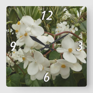 Tropical White Begonia Blommigt Fyrkantig Klocka