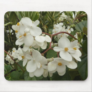 Tropical White Begonia Blommigt Musmatta