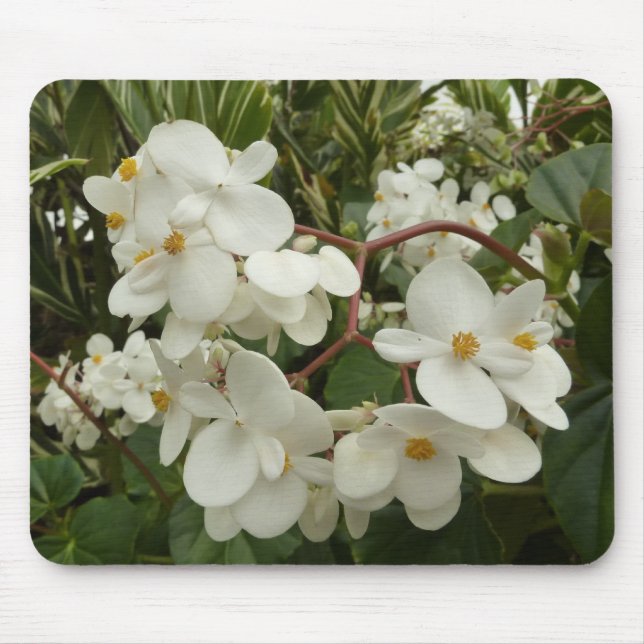 Tropical White Begonia Blommigt Musmatta (Framsidan)