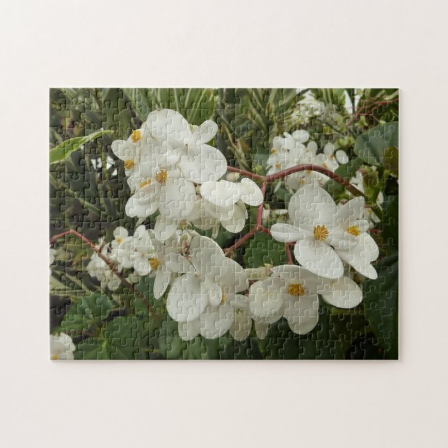 Tropical White Begonia Blommigt Pussel (Horisontell)