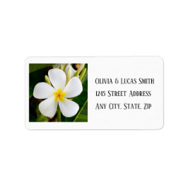Tropical White Plumeria - New Beginnings - Bröllop Adressetikett