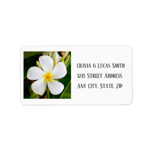 Tropical White Plumeria - New Beginnings - Bröllop Adressetikett