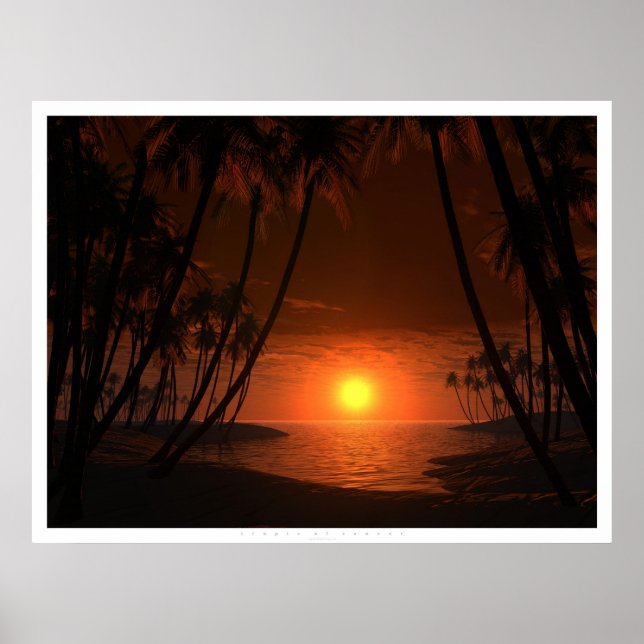 Tropik av cancer poster (Framsidan)