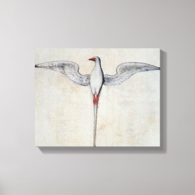 Tropik Bird Canvastryck (Framsida)