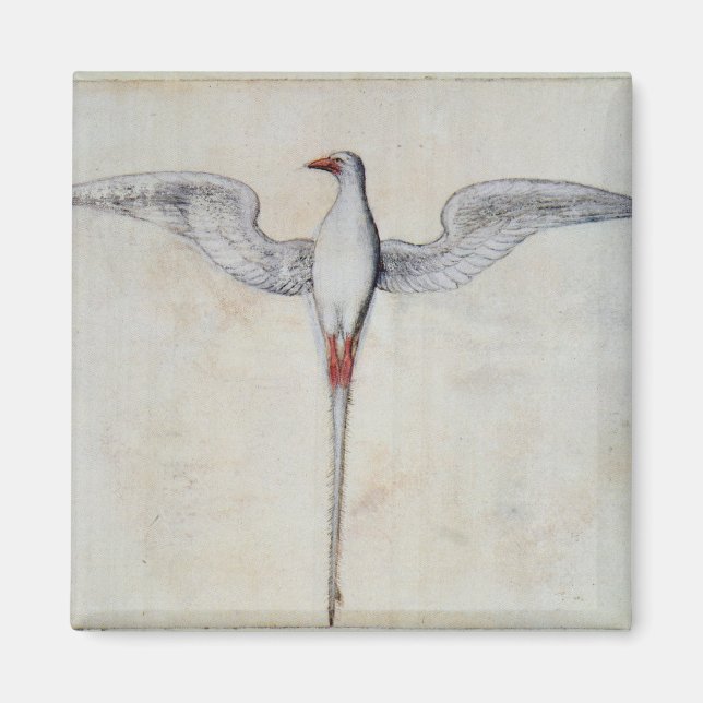 Tropik Bird Magnet (Framsidan)