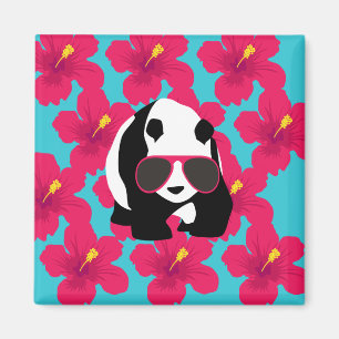 Tropikar för Coola av solglasögon för av Panda Be Magnet