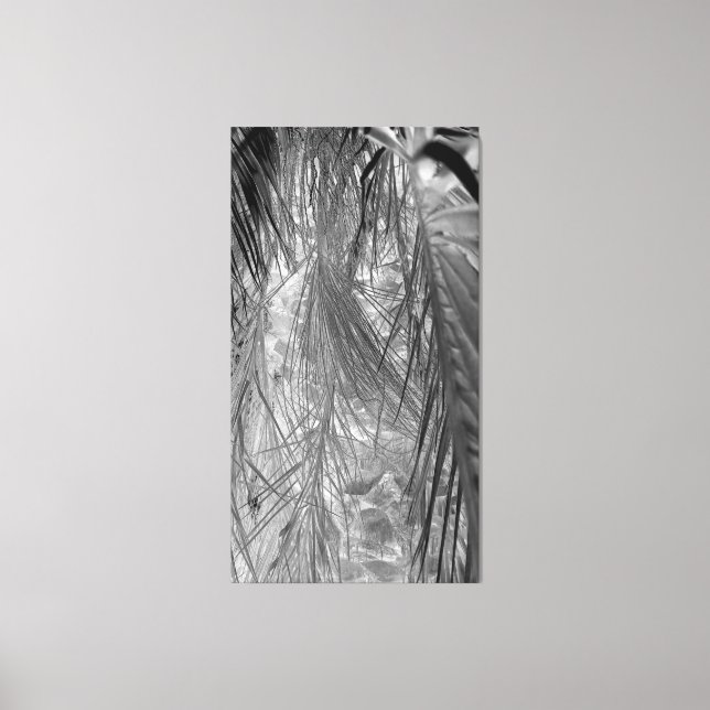 Tropikarnas viskare canvastryck (Framsida)