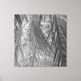 Tropikarnas viskare canvastryck