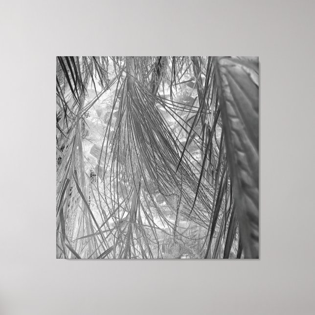 Tropikarnas viskare canvastryck (Framsida)