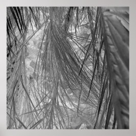 Tropikarnas viskare poster