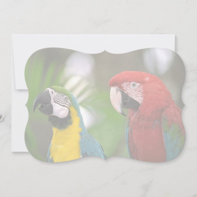 tropisk bakgrund (Framsida)