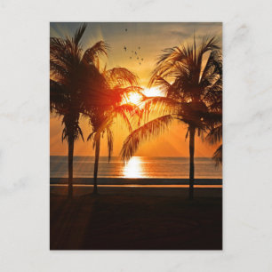 TROPISK BANA SUNSET POSTCARDS VYKORT