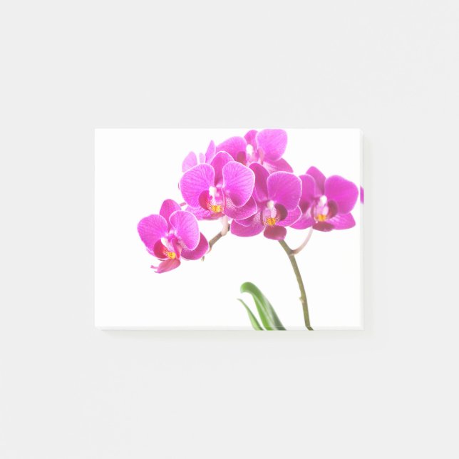 Tropisk blomma för rosa purpurfärgad post-it block (Framsida)