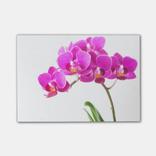 Tropisk blomma för rosa purpurfärgad post-it block