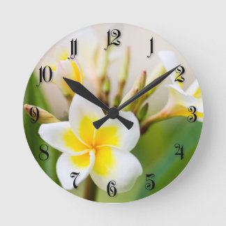 Tropisk blomma för vit rund klocka