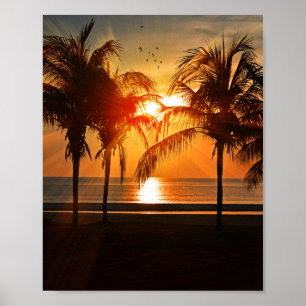 TROPISK BRANSTÄNGD 8 X 10 POSTER