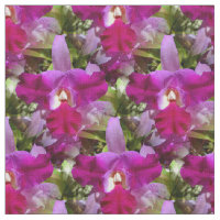 Tropisk Cattleya Orchidblomma